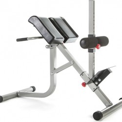 Roman Chair with Hyperextension