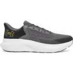 UNDER ARMOUR charged rogue 5 3028256-025