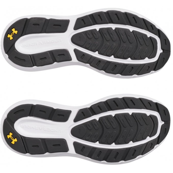 UNDER ARMOUR charged rogue 5 3028256-025
