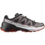 SALOMON SPEEDCROSS PEAK GTX 478528