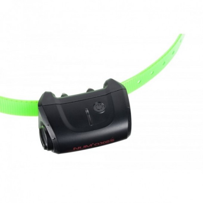 CANICOM 5 RECEIVER (DARK GREEN)