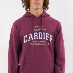 Admiral Ανδρικό Φούτερ Με Κουκούλα Cardiff 1921550019 FIG WHITECAP GREY